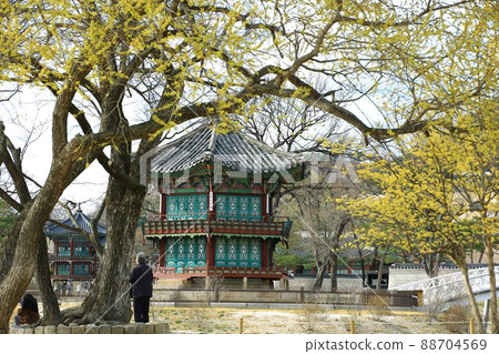 Spring Outing, World Cultural Heritage, Gyeongbokgung Palace Spring Outing, World Cultural Heritage, Gyeongbokgung Palace 88704569