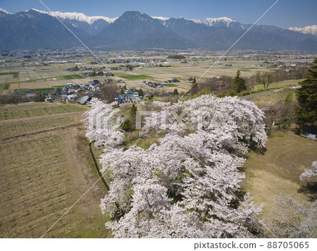Uyama cherry blossom trees in full bloom and Ikeda Town, Nagano Prefecture in the Northern Alps (aerial view by drone) Uyama cherry blossom trees in full bloom and Ikeda Town, Nagano Prefecture in the Northern Alps (aerial view by drone) 88705065