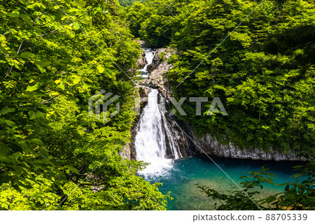 [秋田縣 Hottai Falls] 清新綠意的美麗瀑布 88705339