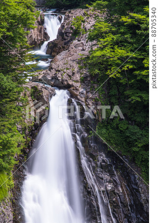 [秋田縣 Hottai Falls] 清新綠意的美麗瀑布 88705340