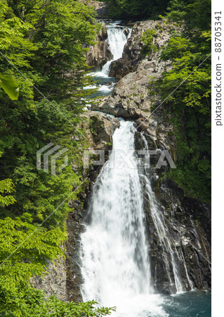 [秋田縣 Hottai Falls] 清新綠意的美麗瀑布 88705341