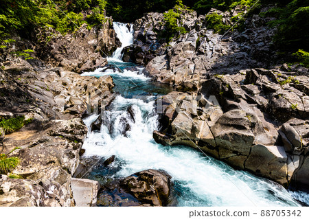 [Hottai Falls, Akita Prefecture] Hottai Falls that beautifully soothes the fresh greenery 88705342