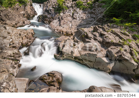 [Hottai Falls, Akita Prefecture] Hottai Falls that beautifully soothes the fresh greenery 88705344