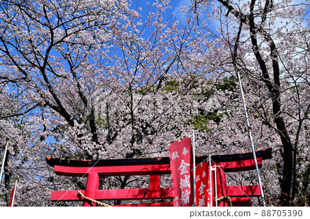 岩水寺金城稻荷社 88705390