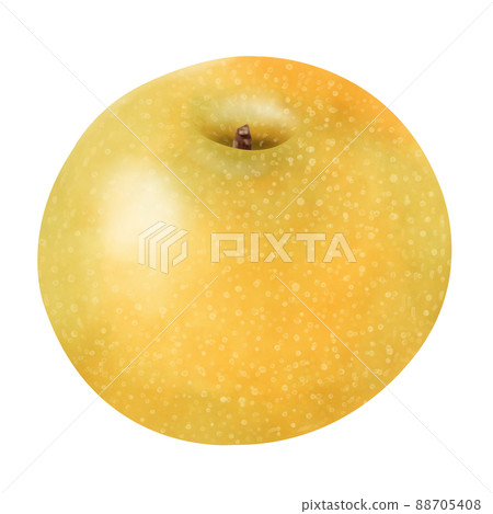 水彩插圖梨 88705408