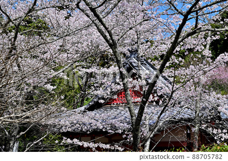 Gansui-ji Temple Taishido Gansui-ji Temple Taishido 88705782
