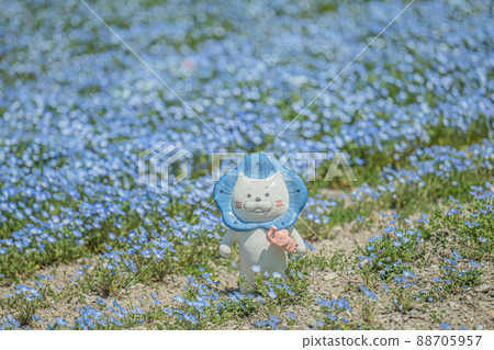 舞島花粉蝶 舞島花粉蝶 88705957