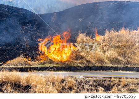 《熊本縣》阿蘇/燃燒 88706550