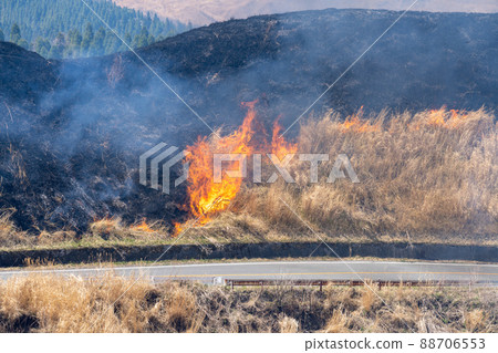 《熊本縣》阿蘇/燃燒 88706553
