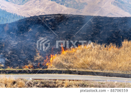 《Kumamoto Prefecture》 Aso / Burning 88706559