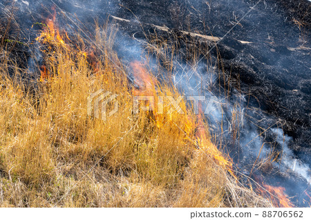 《熊本縣》阿蘇/燃燒 88706562