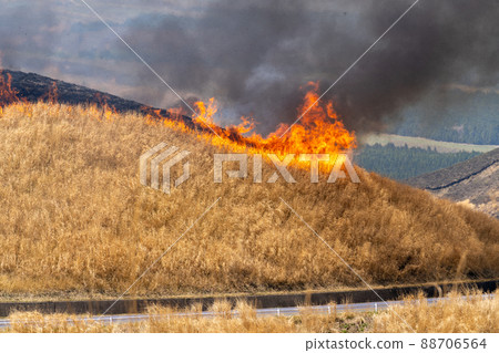 《熊本縣》阿蘇/燃燒 《熊本縣》阿蘇/燃燒 88706564