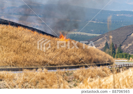 《熊本縣》阿蘇/燃燒 88706565
