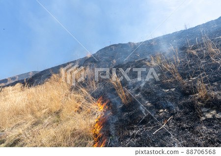 《熊本縣》阿蘇/燃燒 《熊本縣》阿蘇/燃燒 88706568