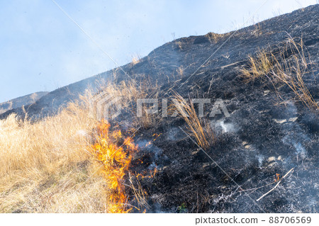 《熊本縣》阿蘇/燃燒 88706569