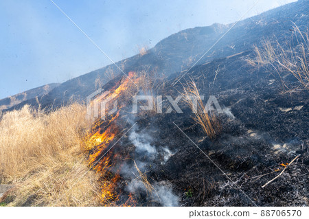 《熊本縣》阿蘇/燃燒 88706570