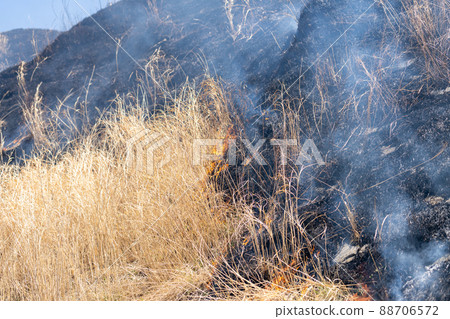 《熊本縣》阿蘇/燃燒 88706572