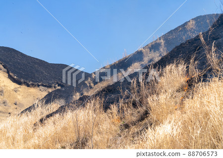 《熊本縣》阿蘇/燃燒 88706573