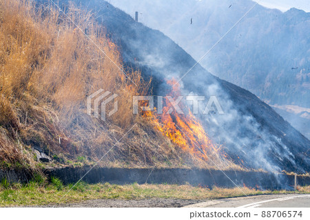 《熊本縣》阿蘇/燃燒 88706574
