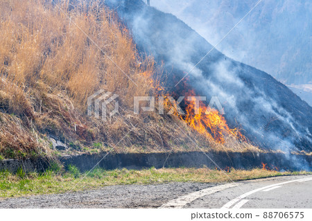 《熊本縣》阿蘇/燃燒 88706575