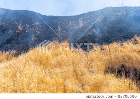 《Kumamoto Prefecture》 Aso / Burning 88706590