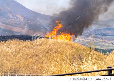 《熊本縣》阿蘇/燃燒 88706591