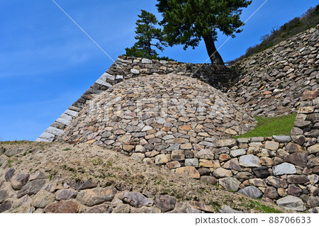 Tottori Castle Ruins in Spring Sunlight Tenkyu Maru Tottori Castle Ruins in Spring Sunlight Tenkyu Maru 88706633