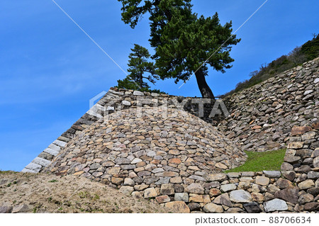 春天陽光下的鳥取城遺跡 天急丸 春天陽光下的鳥取城遺跡 天急丸 88706634