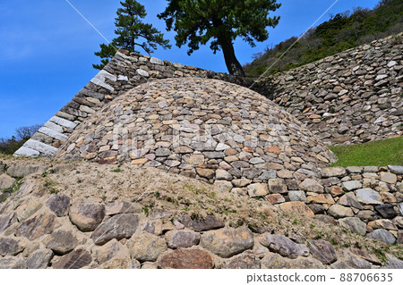 Tottori Castle Ruins in Spring Sunlight Tenkyu Maru Tottori Castle Ruins in Spring Sunlight Tenkyu Maru 88706635