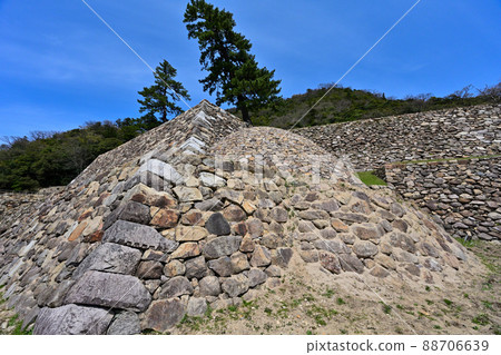 Tottori Castle Ruins in Spring Sunlight Tenkyu Maru 88706639