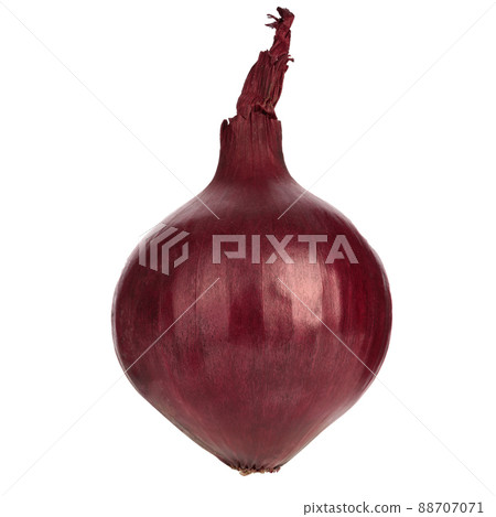 Fresh onion isolated on white background with clipping path. 88707071