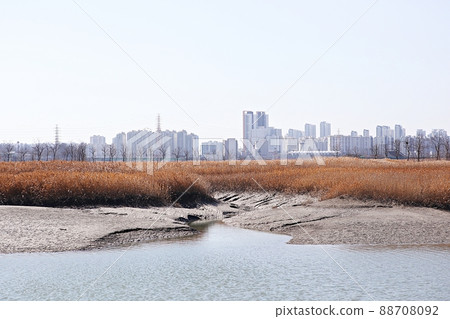 韓國公園 韓國公園 88708092