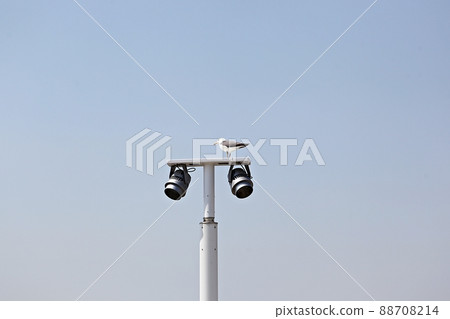 Seagull 88708214