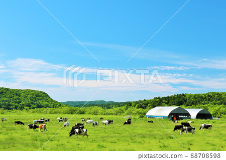 Hokkaido blue sky ranch landscape Hokkaido blue sky ranch landscape 88708598