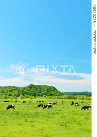 Hokkaido blue sky ranch landscape Hokkaido blue sky ranch landscape 88708600