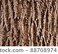 木質背景材料003 88708974