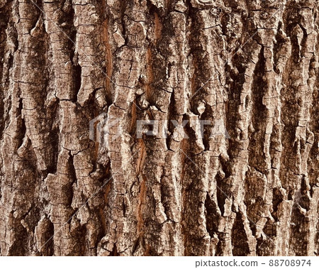 Wood background material 003 88708974