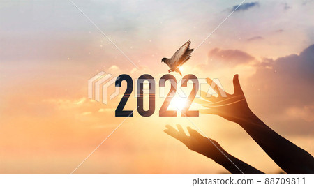 Hands touching of new year 2022 silhouette with flying of free bird enjoying nature on sunset background, Happy New Year concept. 88709811