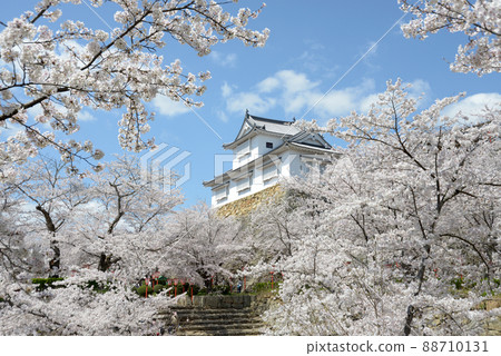 岡山縣津山市春天津山城美中塔山下 88710131