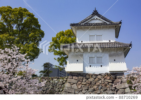 Oita Funai Castle Ruins and Sakura Oita Funai Castle Ruins and Sakura 88710269
