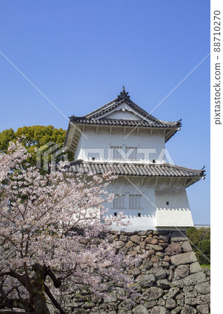 Oita Funai Castle Ruins and Sakura Oita Funai Castle Ruins and Sakura 88710270