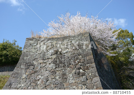Spring Tsuyama Castle Stone wall at the southeast corner turret Yamashita, Tsuyama City, Okayama Prefecture Spring Tsuyama Castle Stone wall at the southeast corner turret Yamashita, Tsuyama City, Okayama Prefecture 88710455