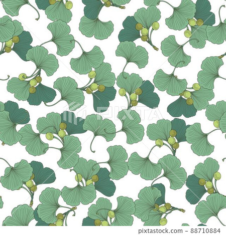Seamless pattern with ginkgo leaves. Vector plant texture. 88710884