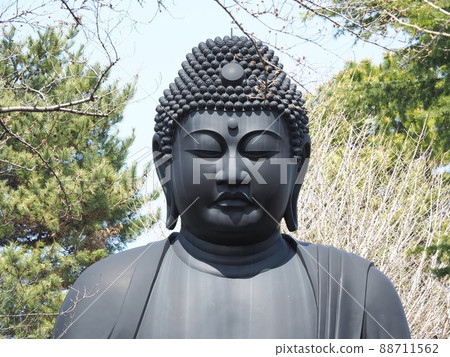 東京大佛淨蓮寺 板橋區赤塚 東京大佛淨蓮寺 板橋區赤塚 88711562