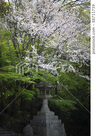 大阪府東大阪市出雲町平岡神社的大石燈籠 大阪府東大阪市出雲町平岡神社的大石燈籠 88711739