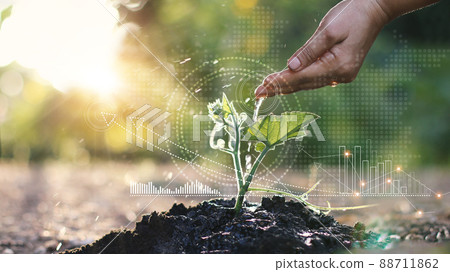 Business growth concept, Man watering young sprout with hand and  graph growth of business, Stock profits and investments, Strategy and planning of successful. 88711862