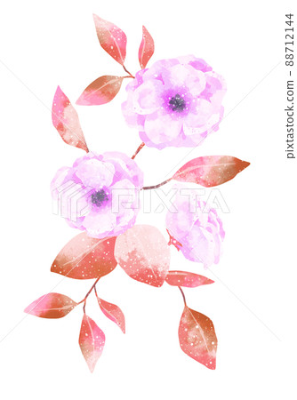 Anemone frame with a gentle touch 88712144