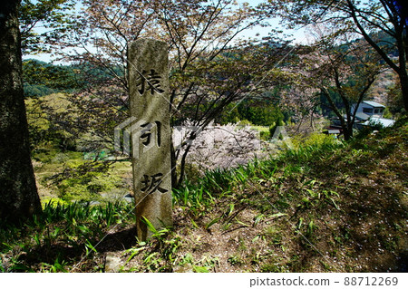 Yoshinoyama Sakura 88712269