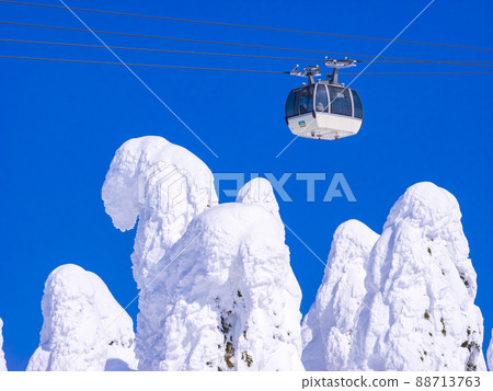 樹上的霧凇索道(山形縣藏王溫泉滑雪場) 樹上的霧凇索道(山形縣藏王溫泉滑雪場) 88713763