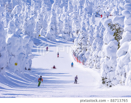 People gliding through the ice field (Zao Onsen Ski Resort, Yamagata Prefecture) People gliding through the ice field (Zao Onsen Ski Resort, Yamagata Prefecture) 88713765